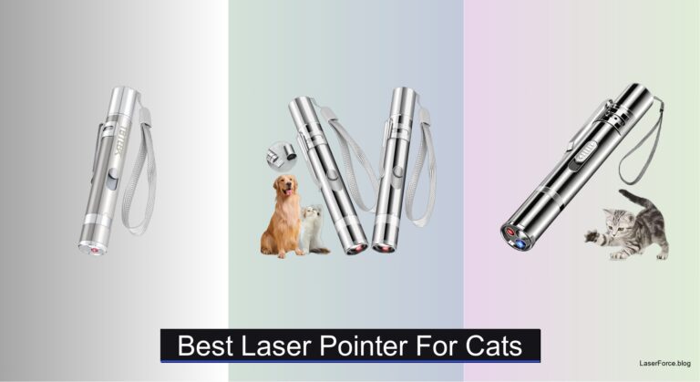 6 Best Laser Pointers for Cats of 2026